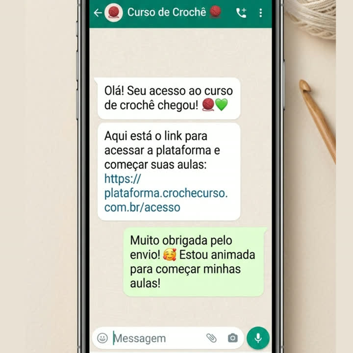 Exemplo ilustrativo de entrega do acesso pelo WhatsApp